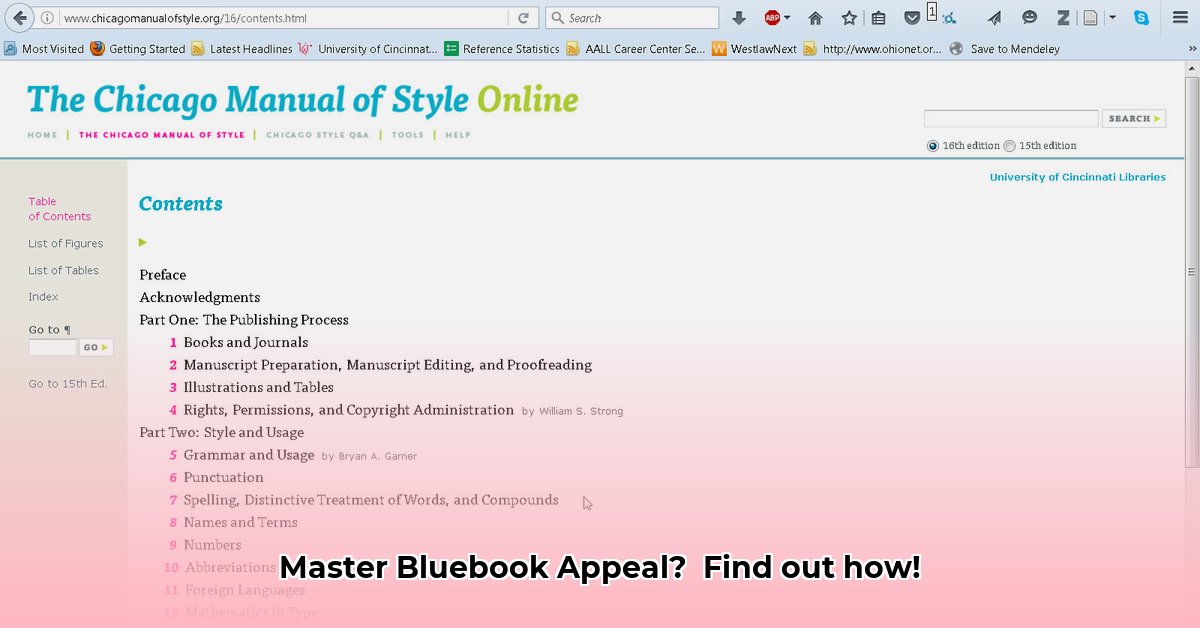 bluebook-appeal-docketed